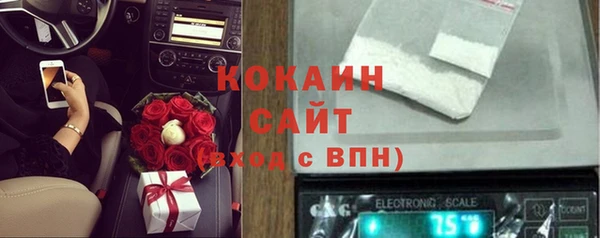 ГАЛЛЮЦИНОГЕННЫЕ ГРИБЫ Елизово
