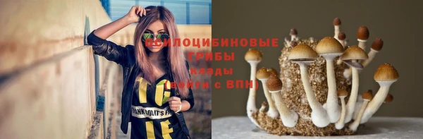 ALPHA PVP Заводоуковск