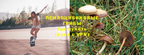 ALPHA PVP Заводоуковск