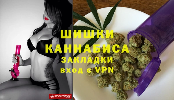 дурь Ельня