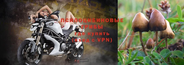 ALPHA PVP Заводоуковск