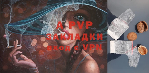 дурь Ельня