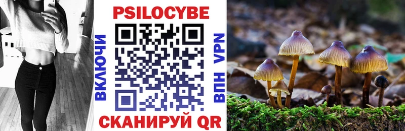 Галлюциногенные грибы Magic Shrooms  Каргат 
